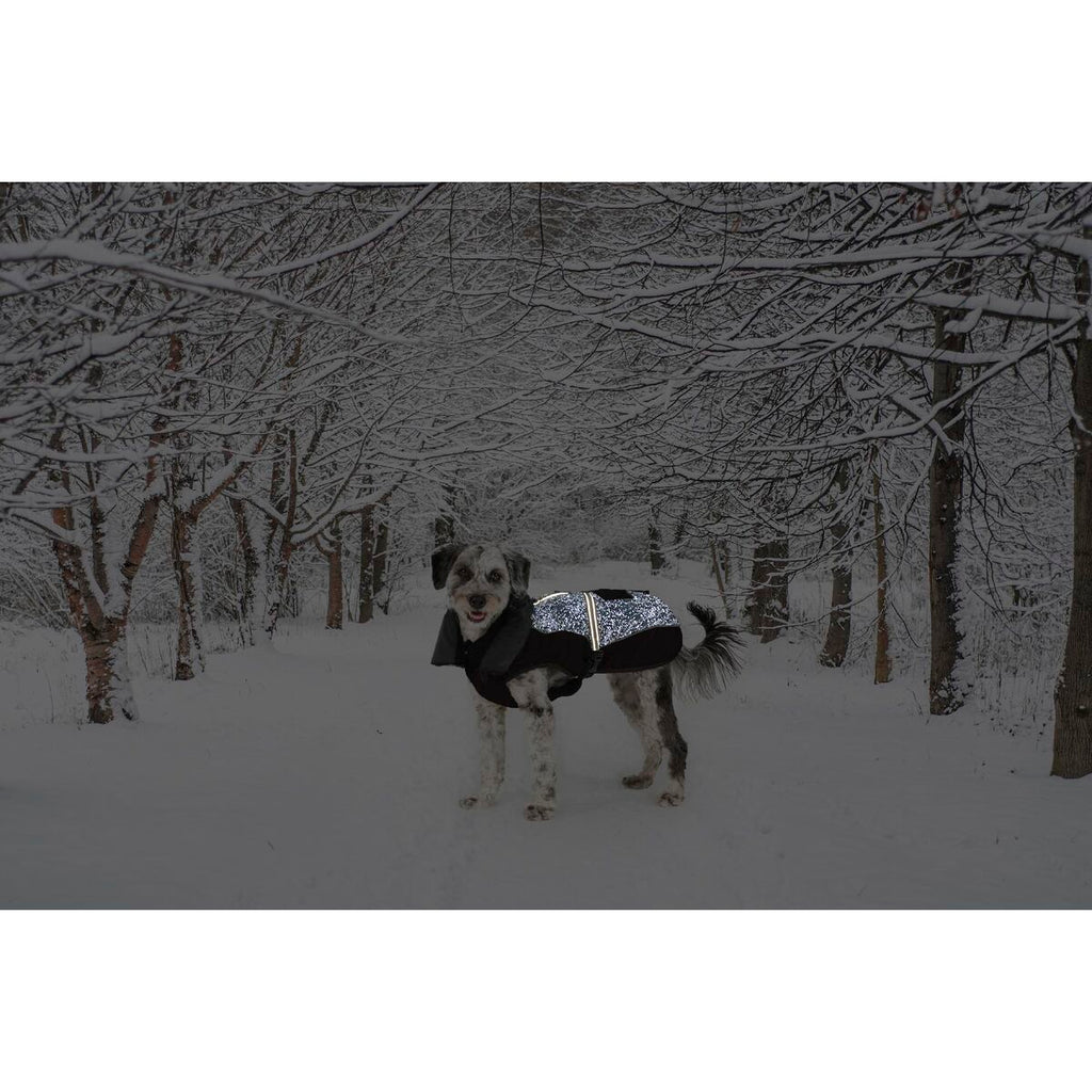 V6H0D2A2F62D9A49D5AD82974EF743F6DB3R5332494P2