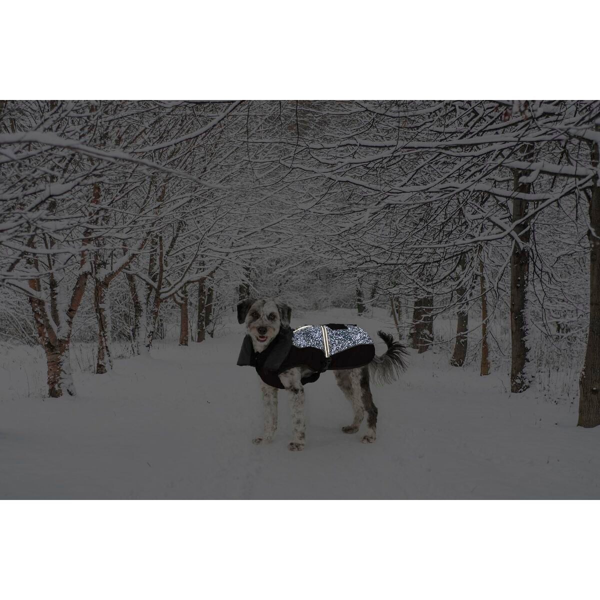 V6H0D2A2F62D9A49D5AD82974EF743F6DB3R5332494P2