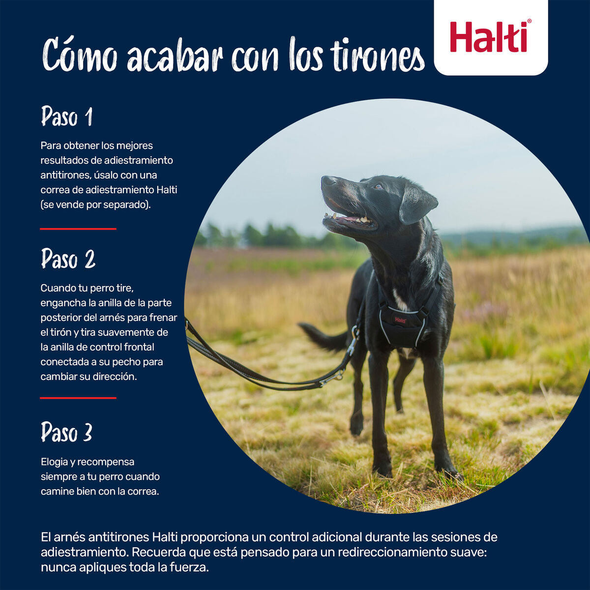 V4HADBCA01F61A6CB5B44263020AF5BB811R7523697P3