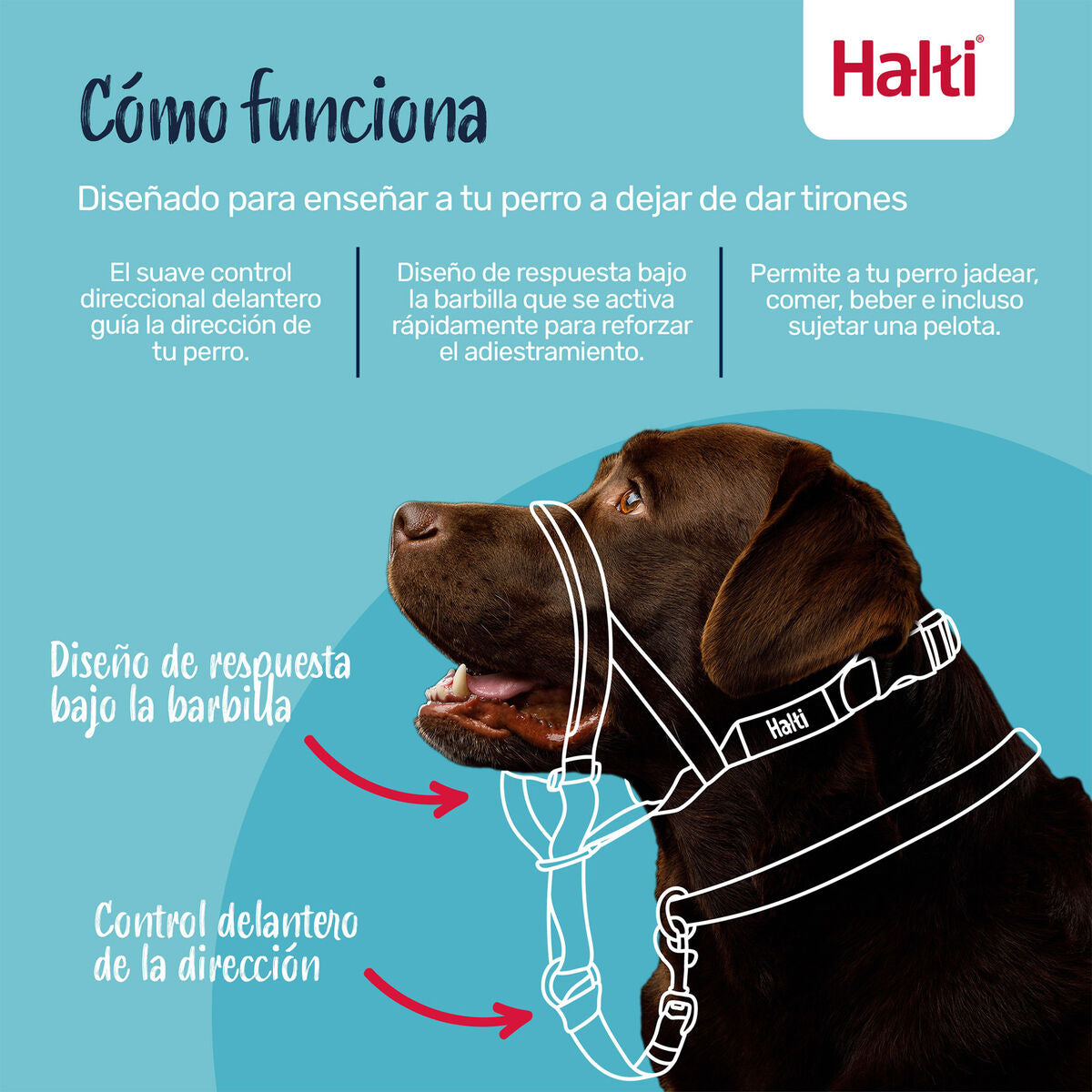 V4H4EFA5F26CA27A90A44E2C0AA1E2232E2R7523921P4