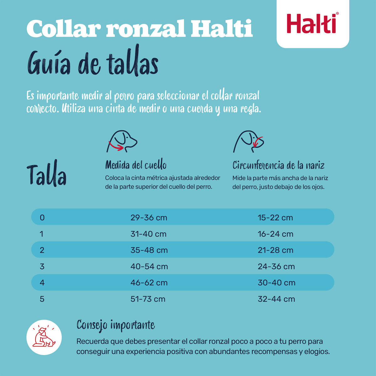 V4H0F58311491433F6004C36C3F6BE36177R7523547P4