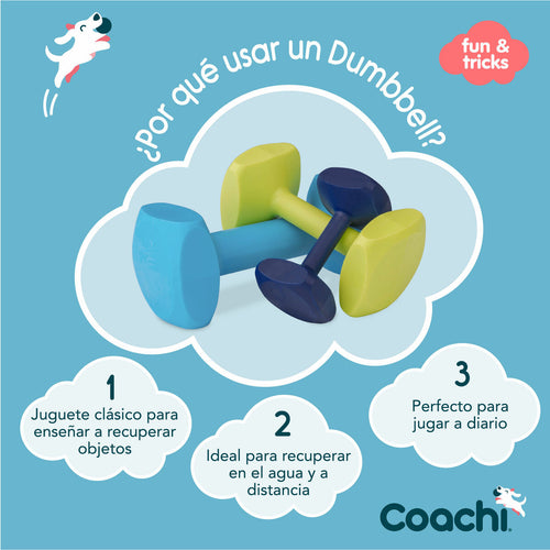 V7HDF5FDEF30FCB764DD66CDCD9CE1F89AAR3709262P2