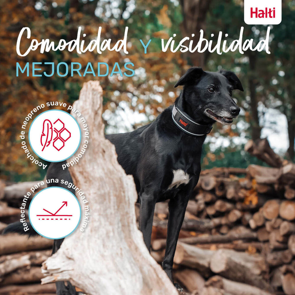 V2H46FCB0F619B45CF5A1E4DB7F8C08D8CER7722785P6