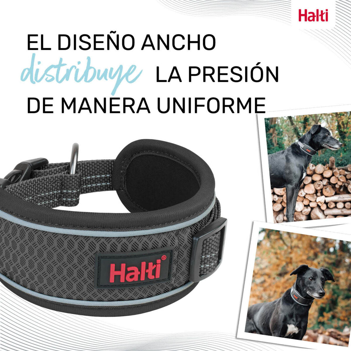 V2H9CE8280CE048AFD0599808A1DB99CA06R7722815P9