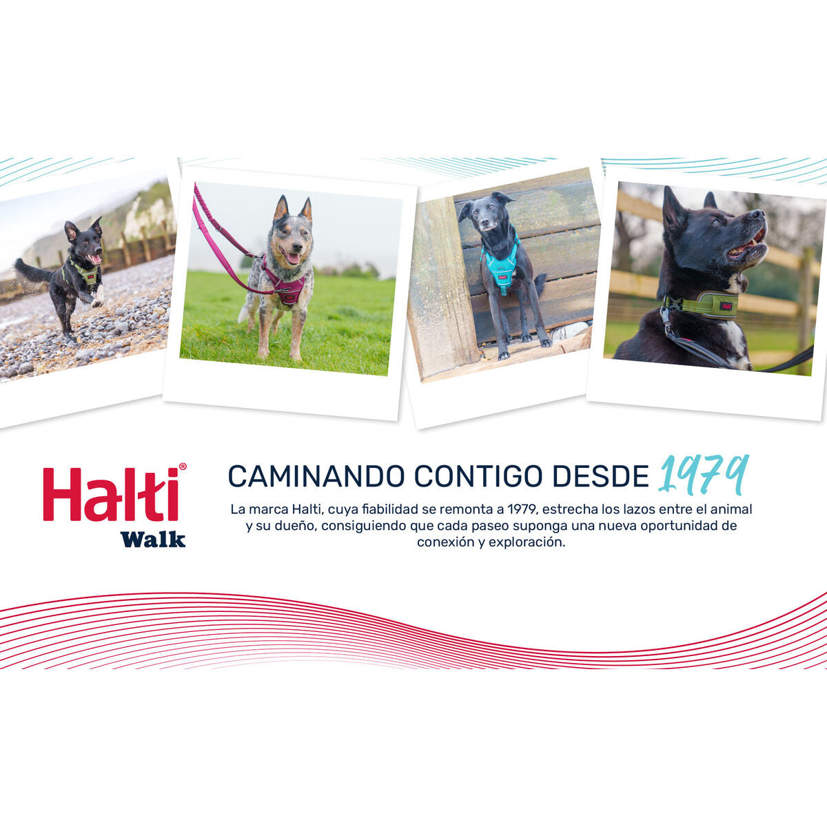 V2H447C2A6514D22B71813F4078337BB55FR7722786P7