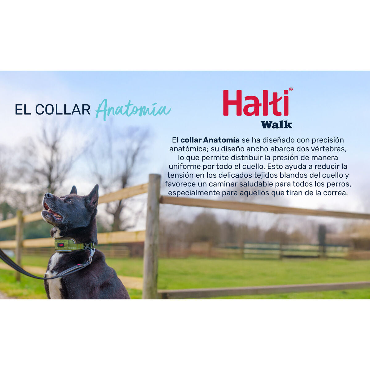 V2HE38D4F8F2F00EDD262C25E3F7AD55146R7722787P3