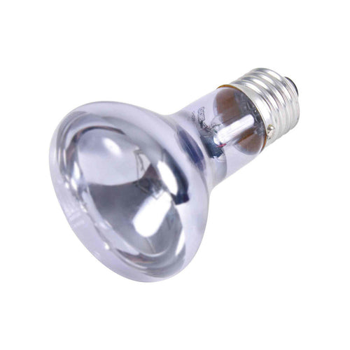 V6H69B1AE4ABBD198AC645AF2766D57455CR7446083P1
