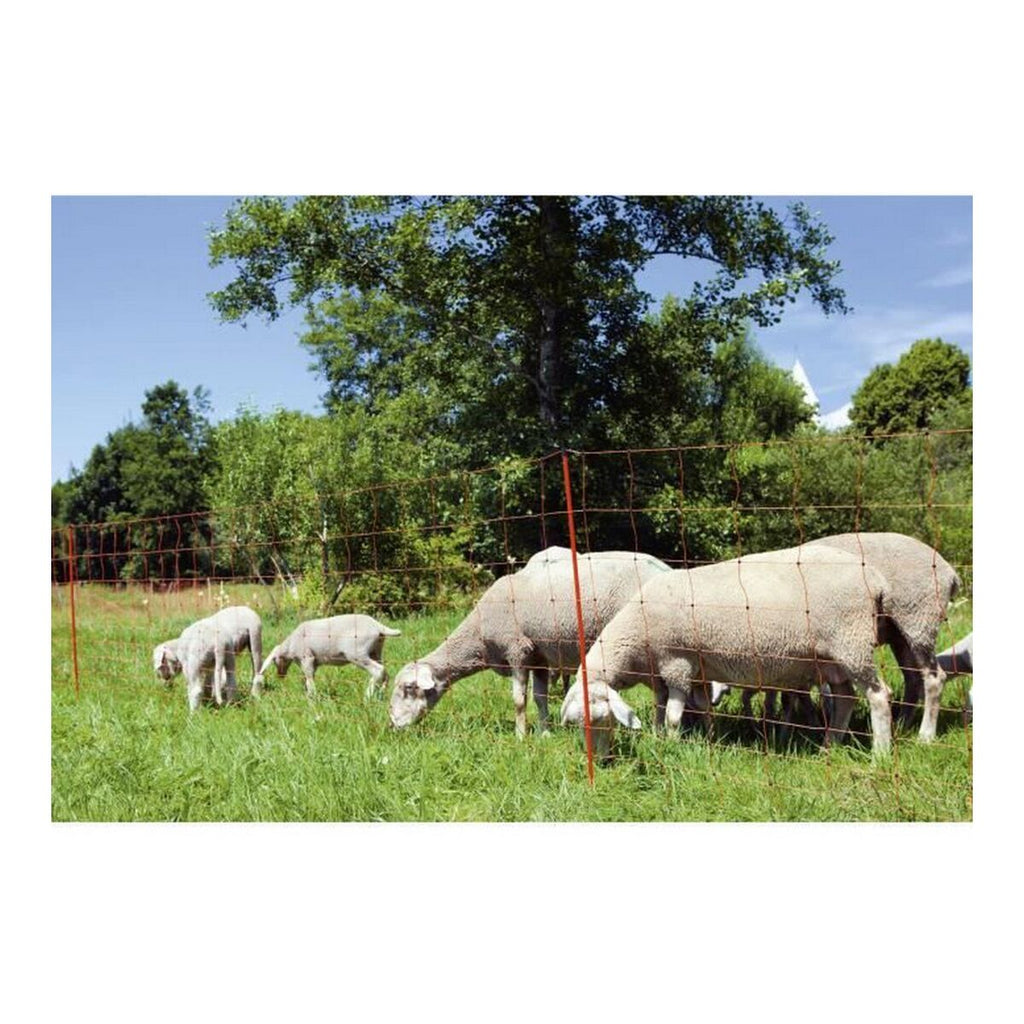 V8H2A33D4FB1A1E736B9DEB94D64210CA08R4132488P2