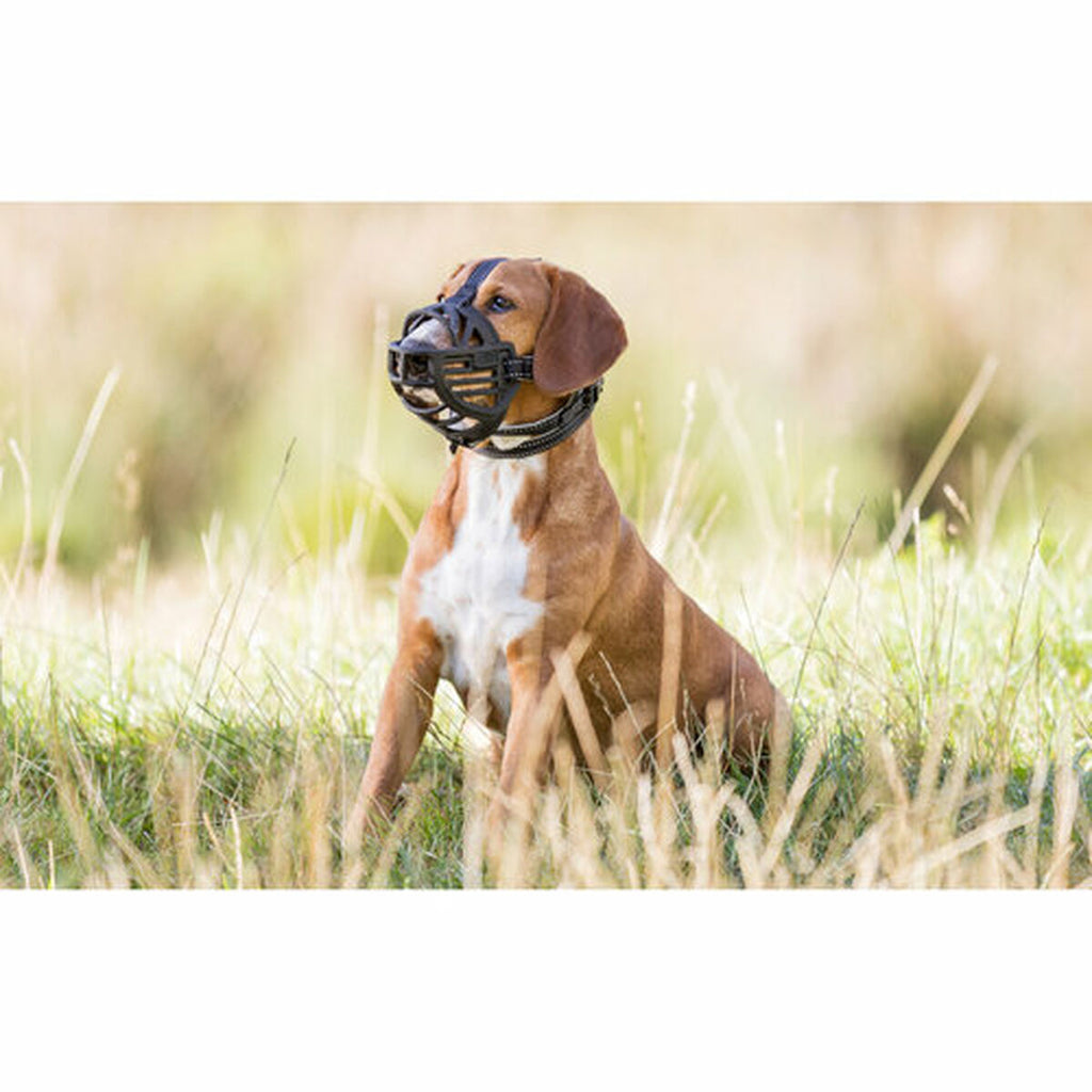 V7HF545DC8443BE078235585A2573CDAD12R7441657P5