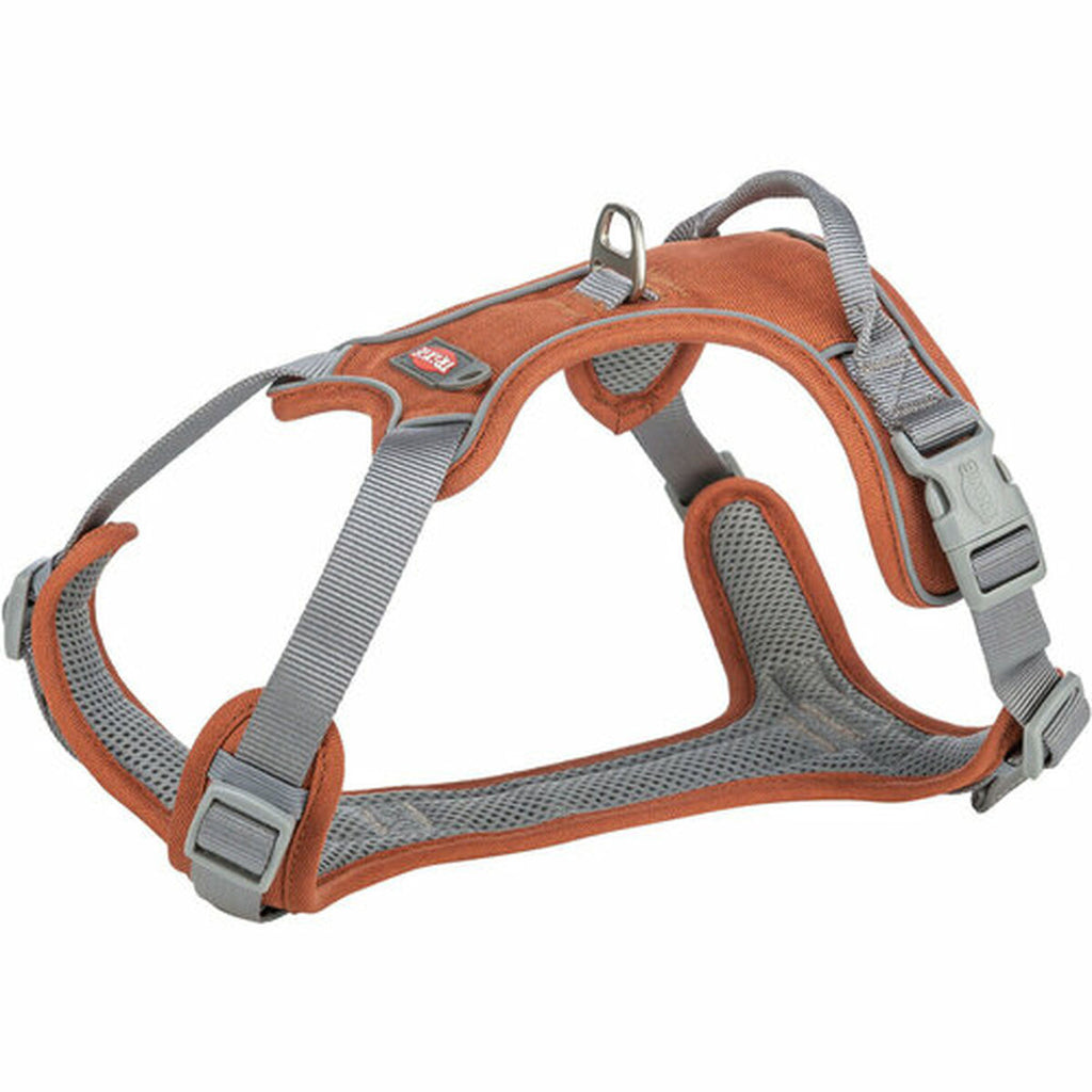 V7HE6B1E97CC0FD7CA44127DAA2BF45C548R7459251P2