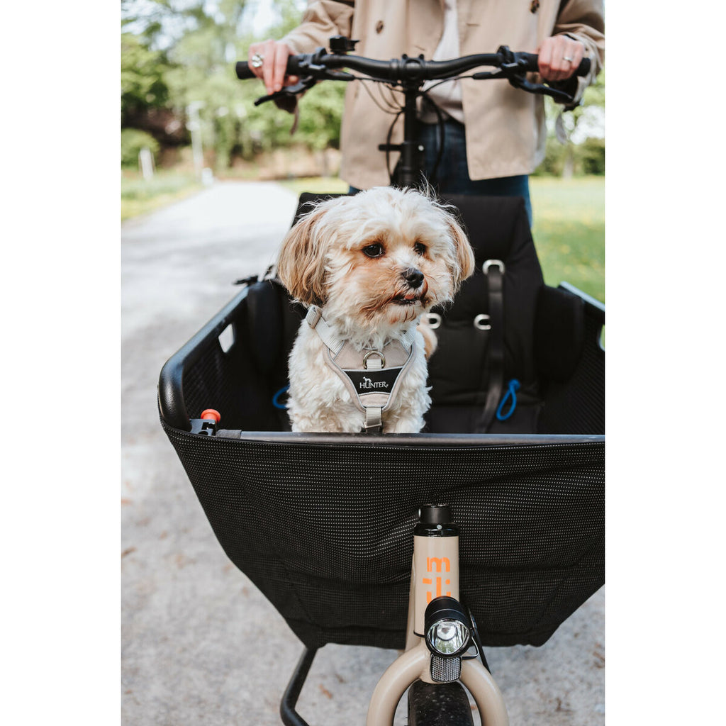 V5H968755901F7FB071EEBE55E10377361ER5575621P7