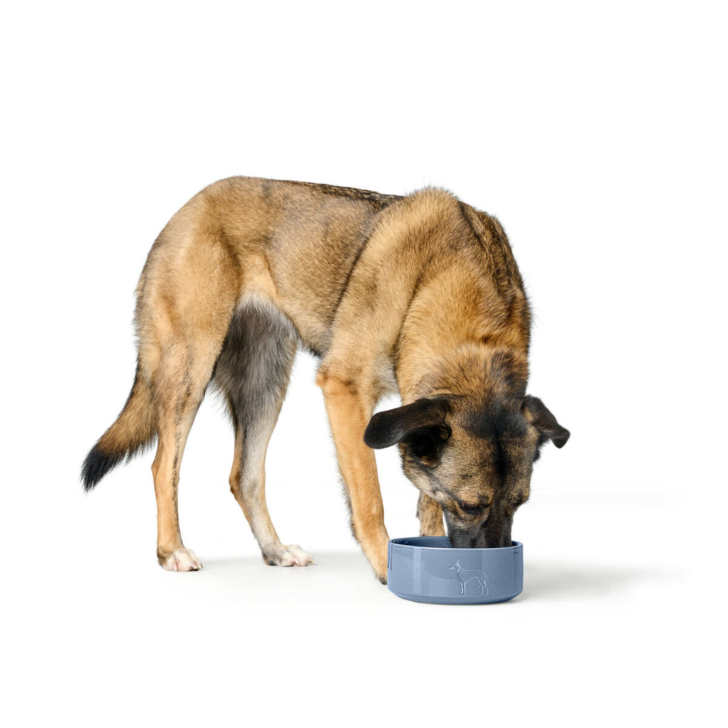 V5H6DEE237176765160C36A83844B7AEA73R5587768P2