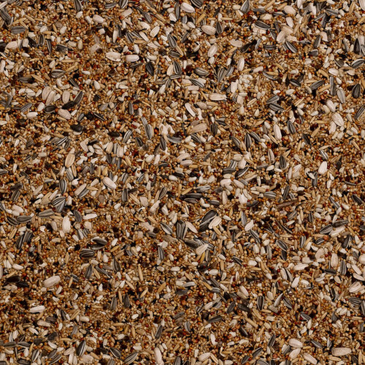 V7HCC00BD20819B33C045B31CC31BA1D26BR7444023P4